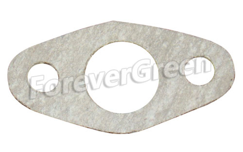 BG021 Intake Gasket